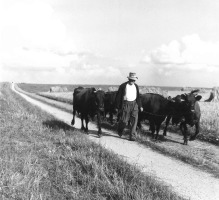 Pederstrup Foto