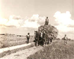 Pederstrup Foto